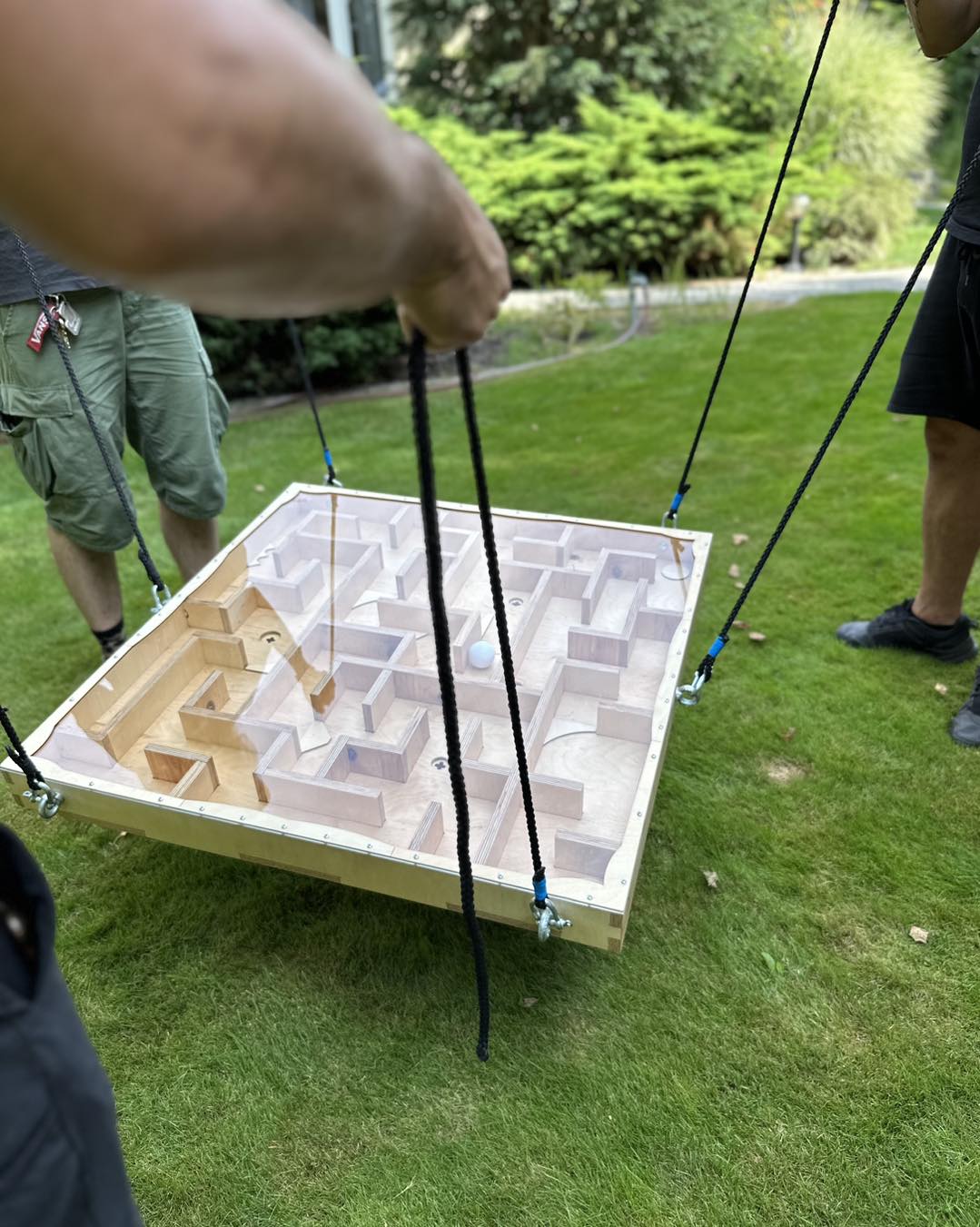 Balance giga labirynt do wynajęcia