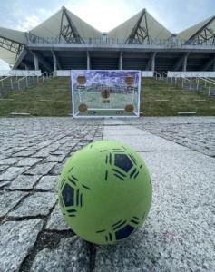 Bramka celnościowa do wynajęcia