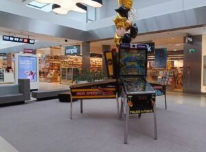 Read more about the article Flipper wynajem na&nbsp;event