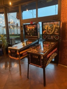 Flipper wynajem. Atrakcje na piknik do wynajęcia