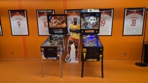 flipper do wynajęcia